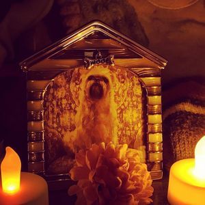 Meet your Posher, Marcela